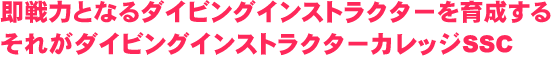 即戦力となるダイビングインストラクターを育成する