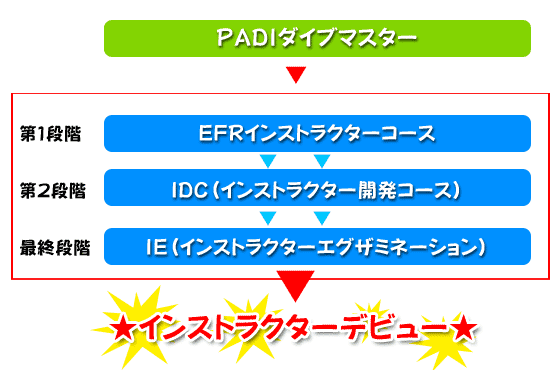 インストラクターデビュー